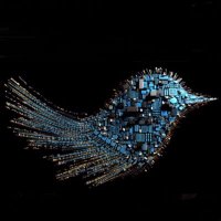 GrayMechanism (@graymechanism) 's Twitter Profile