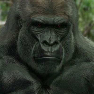 VictorG64441647's profile picture. .