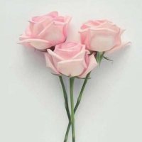 بنت المملكه (@aa0505723) 's Twitter Profile