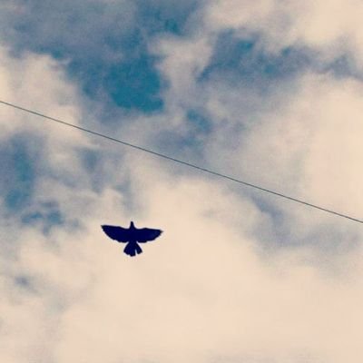 « لَا تَقۡنَطُواْ مِن رَّحۡمَةِ ٱللَّهِ . . . »