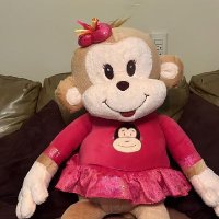 Patty Duran (@patrici78042830) 's Twitter Profile Photo