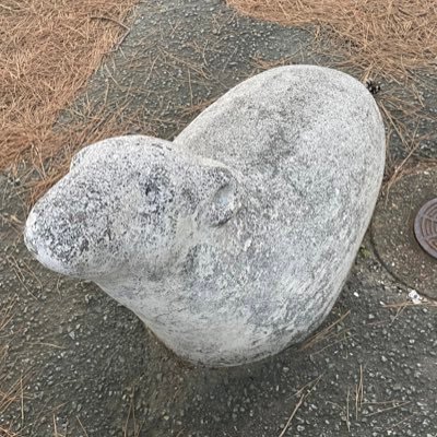 tanyakkadayo's profile picture. DTM勉強中.../音ゲーやる Youtube:https://t.co/en7rGie1Em Soundcloud:https://t.co/aXzNeNusX6