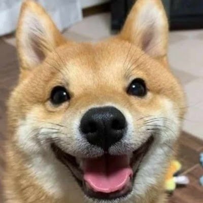 BbshdJ27862's profile picture. 