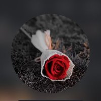 EBM✈️ (@baymme2017) 's Twitter Profile