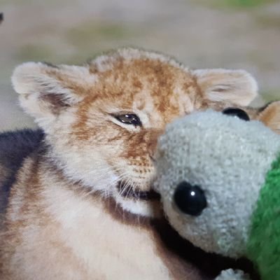 雪静☆｡･ﾟ*🐺さんのプロフィール画像