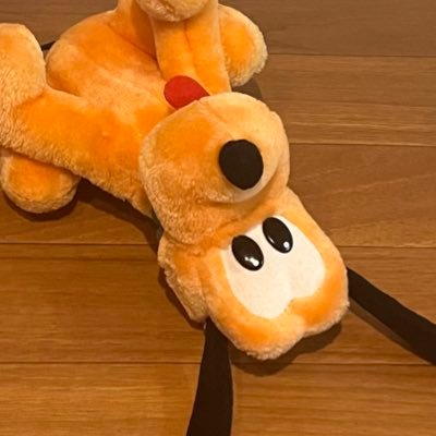 なにかのかいぬし ぬいぐるみとディズニーなど雑多垢。かいぬしの自我しかないので。見たくない人はブロックしてね