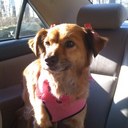 Ellen Kozlowski - @Elnkoz - Twitter