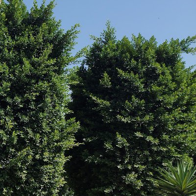 al_sqqaf515's profile picture. 