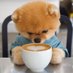 Jiffpom (@jiffpomsol) Twitter profile photo Jiffpom (@jiffpomsol) Twitter profile photo