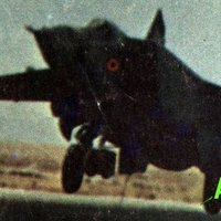 Raptor_simp_22 (@amirmahdirahma2) 's Twitter Profile
