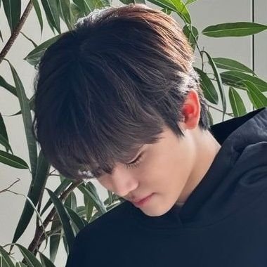 ooc 24 | strictly ic | multi | 18+ | please read carrd | tone indicators appreciated | LaDeiteEnt | Multi Muse