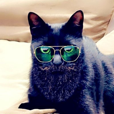 Mr_Hernesto's profile picture. #bitcoin