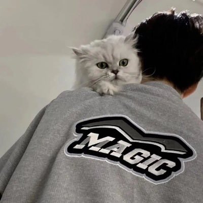 @MogeYuu28