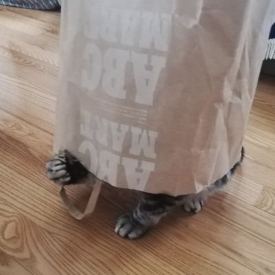 駄猫さんのプロフィール画像