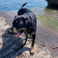 Logan Quam (@loganquam) 's Twitter Profile