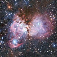 ネビュラム星人 (@b7sl4v) 's Twitter Profile Photo