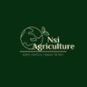 nsi_agriculture's profile picture. Providing good quality affordable climate smart inputs with last mile delivery to rural smallholder farmers with timely farmer support and extension services.