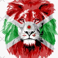 Burundi Insights (@burundiinsight) 's Twitter Profile
