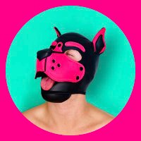 Pup Sundae🍦 (@pup_sundae) 's Twitter Profile