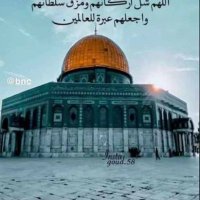 أبو الأمير.. غزة (@jwadmhmwd376087) 's Twitter Profile