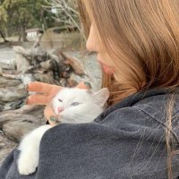 deniz tarot (@staretarot) 's Twitter Profile