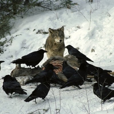 Eccentric_Hasan's profile picture. You only live once, but if you do it right, once is enough.