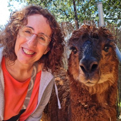 AjoCasals's profile picture. https://t.co/iqFf0hIPzq