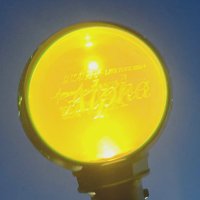 むた (@mutaa0728) 's Twitter Profile