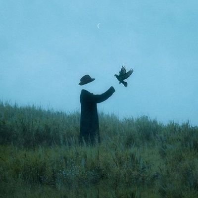 andrevout's profile picture. 