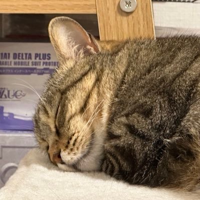 masterdeepblue's profile picture. 無言で失礼いたします。 誤認による発言、発言した時の誤字が怖くて、ネット上の発言は出来ません。