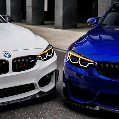 NjonjomaPheston's profile picture. Physics & Biology Teacher