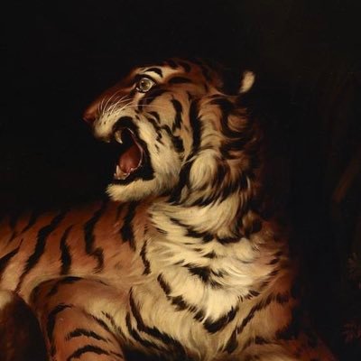 calmcontrol2's profile picture. 