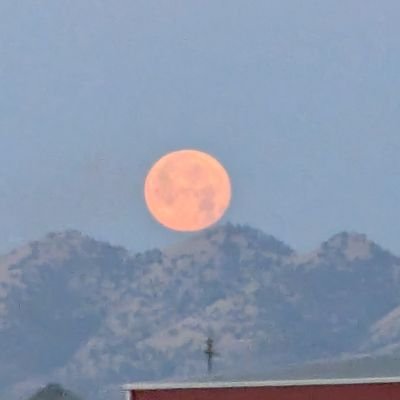 Bearinthebed1's profile picture. 😉  Something to pass the time while we wait for the next sunrise to do it all over again