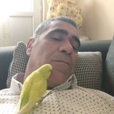 HamanAgabey's profile picture. 