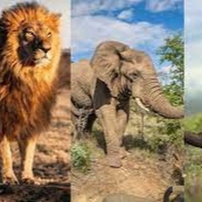 BorjaZulua75805's profile picture. 