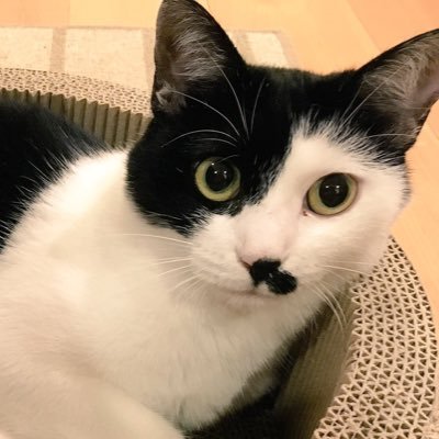 pkさんのプロフィール画像