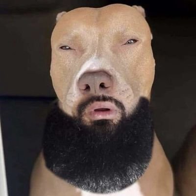 csirkecske2's profile picture.