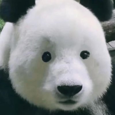 kaylche's profile picture.
