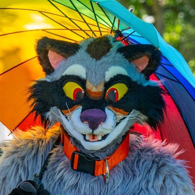 Just call me Urbis - also:@urbisromae
(non-secret Shibe & Raccoon)
Shibe by @Onefurallstudio.
Racc by @ArtKourCostumes.