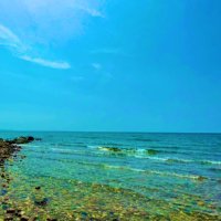 P. Paolitto (@ppaolitto) 's Twitter Profile