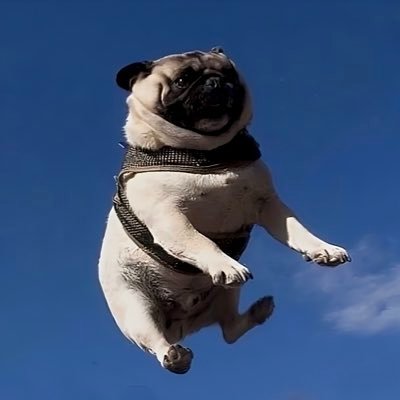 hiromexjp's profile picture. Soy de Japón 🇯🇵Estoy en Mexico 🇲🇽