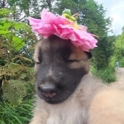 anusbaby's profile picture. regular girl behind the 👩‍💻 screen 👩‍💻