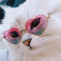 Planted (@jeannekett) 's Twitter Profile