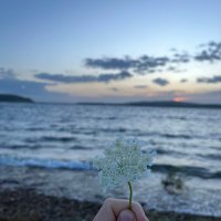 B🪽 (@carpeediemmmm) Twitter profile photo