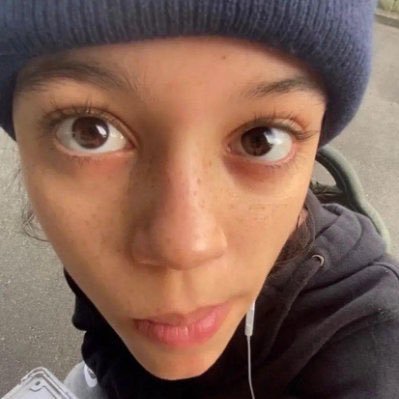 TheVu2n's profile picture. Developer | Serving in the British Military | Discord: perle.btr | Average Jenna Simp | French