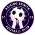 Raising Spirits FC (@raisingspiritfc) Twitter profile photo Raising Spirits FC (@raisingspiritfc) Twitter profile photo