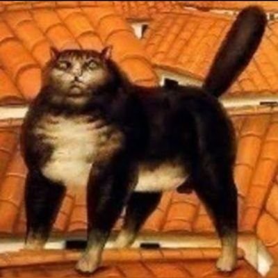 gato preto Profile