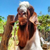 Origines! (@clerson_henry) 's Twitter Profile