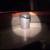 Lit'ter (@wetrashtalkhere) 's Twitter Profile