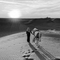 ساطي (@msmstc6666) 's Twitter Profile